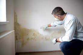 Mold Documentation for Insurance Claims in Bassett, VA